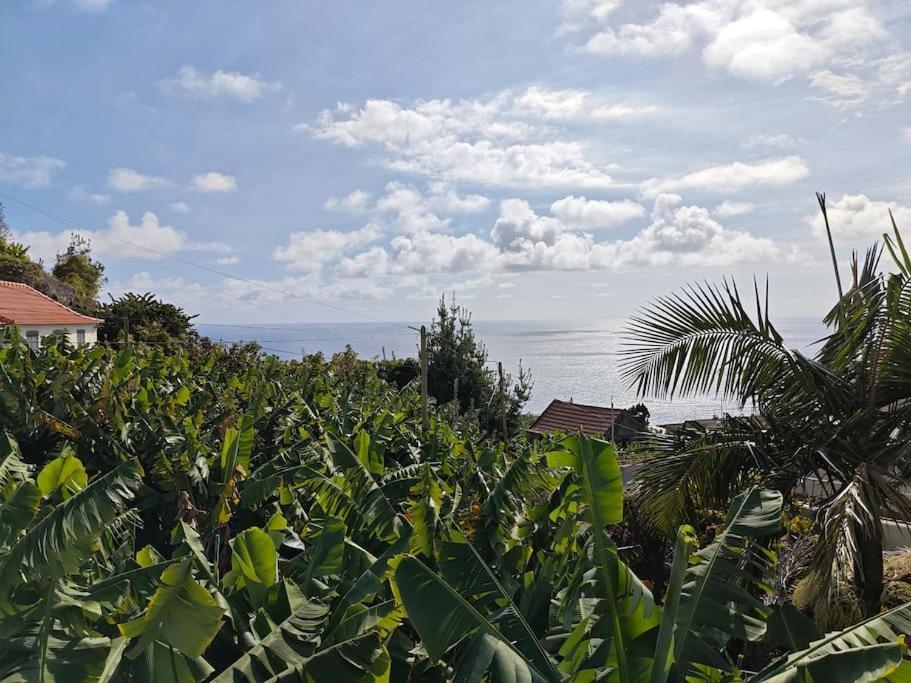 ポンタ・ド・ソルVаrаndаs Dо Sоl-Vista Relaxante Entre Mar E Montanhaアパートメント エクステリア 写真